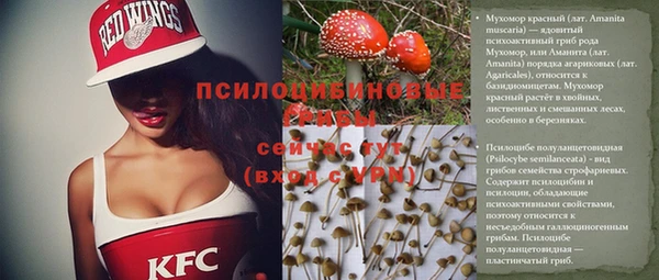винт Аркадак